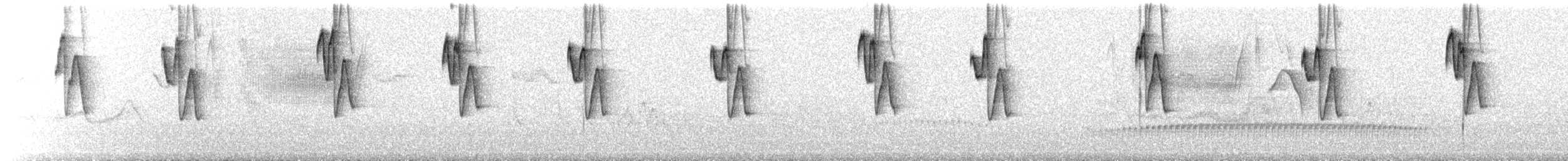 Клинохвостый колибри-отшельник - ML257335671