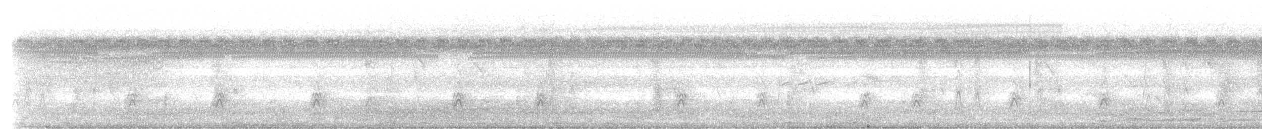 Morelet's Seedeater - ML257442041