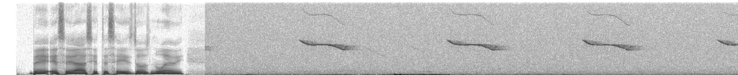 Breitspiegel-Nachtschwalbe (ruficervix) - ML257446