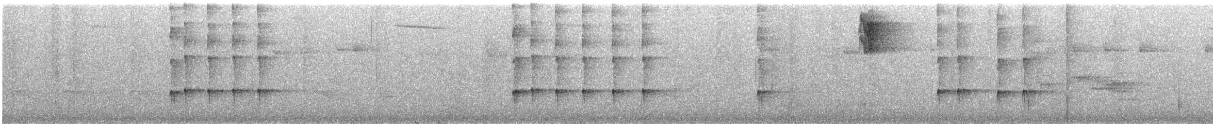 Scale-crested Pygmy-Tyrant - ML257490651