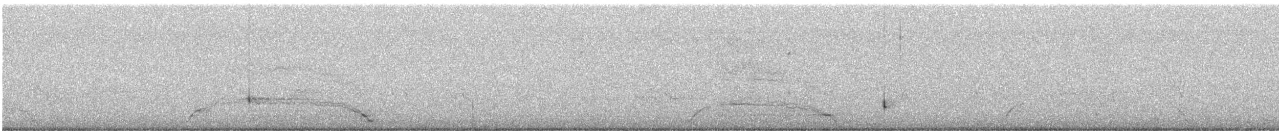 Черноклювая гагара - ML257527251