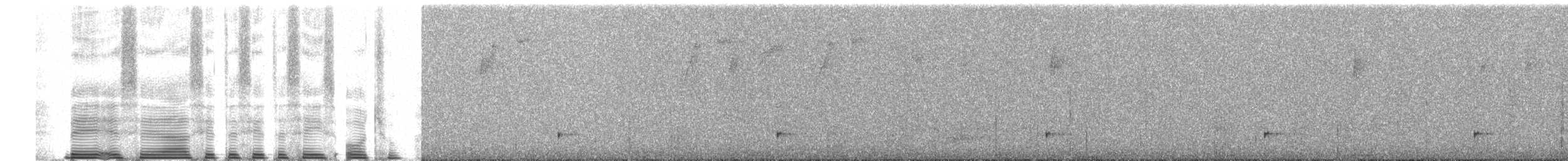 Grünband-Sonnennymphe - ML257584