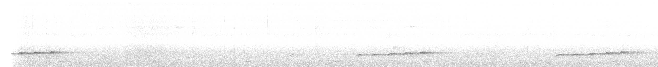 Зозуля-дронго вилохвоста - ML257584081