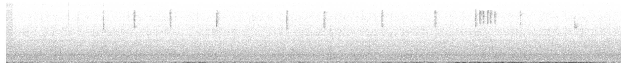 Junco ardoisé (caniceps) - ML257601561