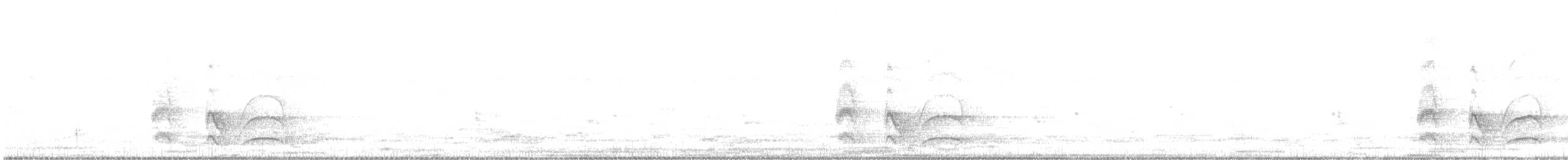 Büyük Kiskadi Tiranı - ML257661541