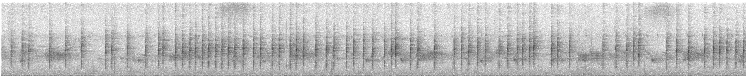 madagaskarsanger (typica gr.) - ML257661721