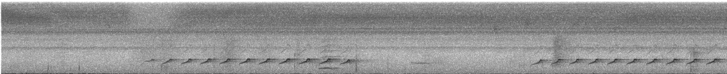 Лінивка-строкатка чорновола - ML257676121