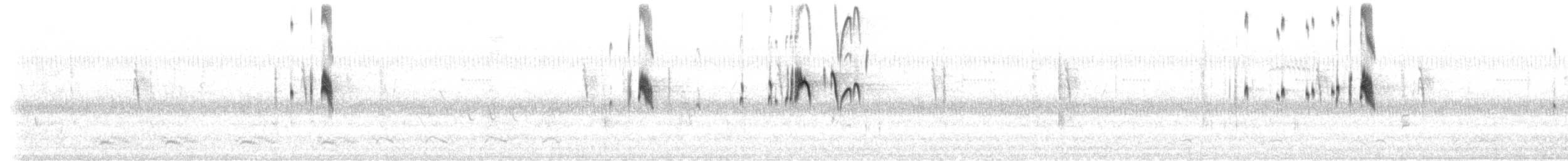 Schieferrücken-Königstyrann - ML257713741