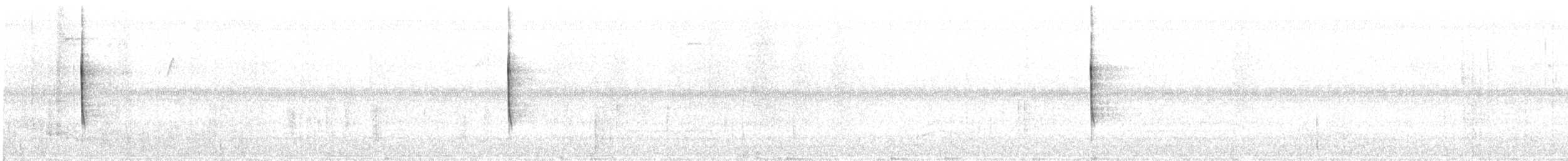 Paruline du Canada - ML257722511