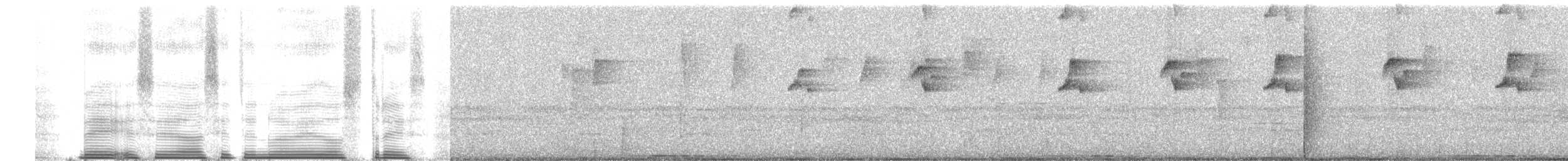 Пестрогрудый тираннчик - ML257738