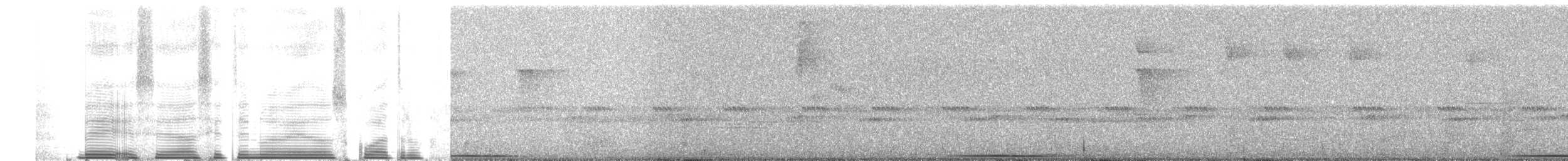 Пестрогрудый тираннчик - ML257739