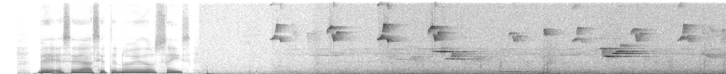 Пестрогрудый тираннчик - ML257741