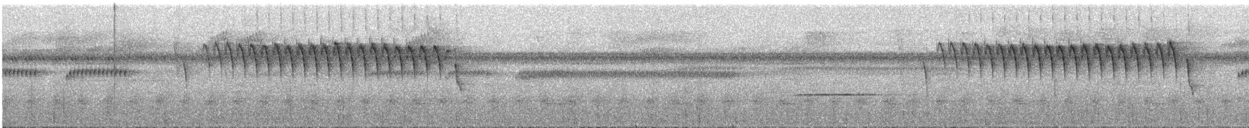 Gray-mantled Wren - ML257828171