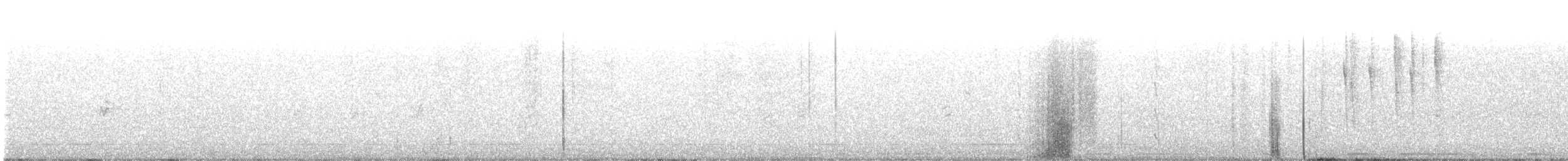 Kara Boğazlı Kolibri - ML257887271