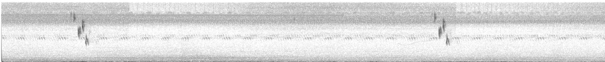 Henslow's Sparrow - ML257926861