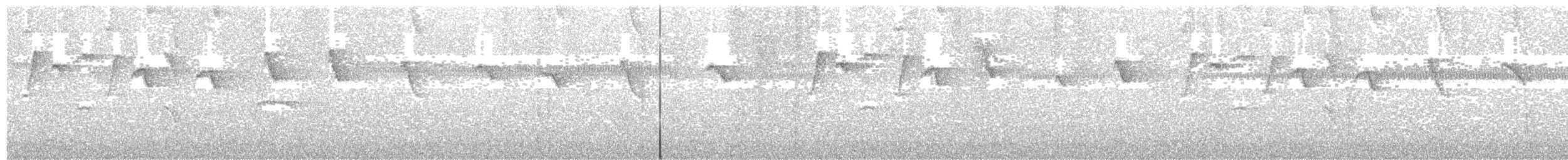 Пестрогорлый колибри-отшельник - ML257994541