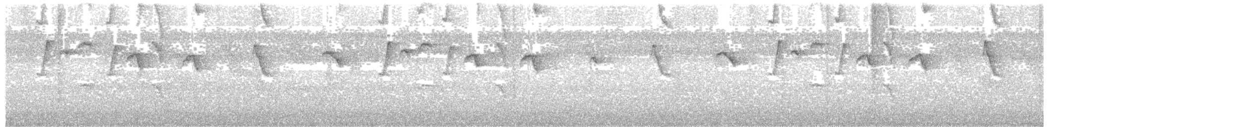 Пестрогорлый колибри-отшельник - ML257994551