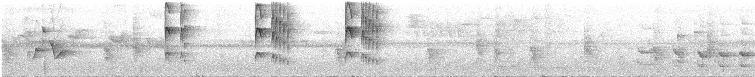 Тиран-інка андійський (підвид transandinus) - ML258016991