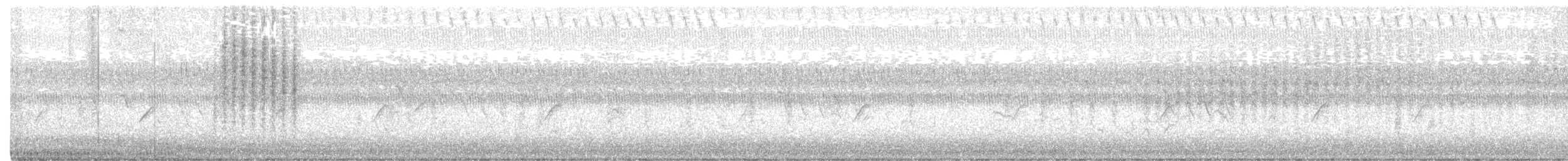 Northern House Wren - ML258017911