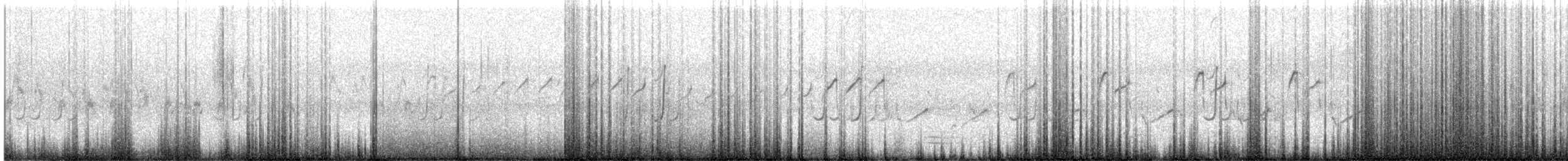 Codorniz Coromandélica - ML258026061