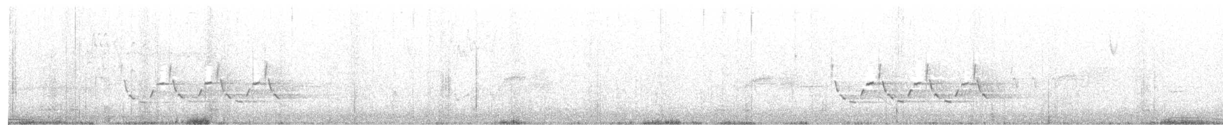 Каролинский крапивник - ML25811371