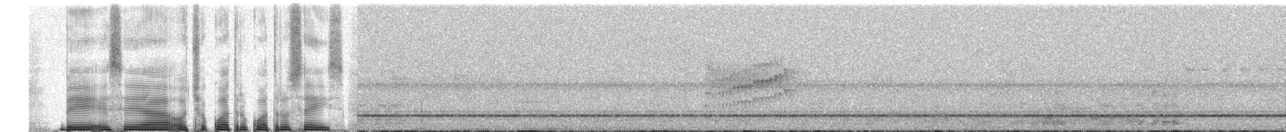Тиранка чорнохвоста - ML258246