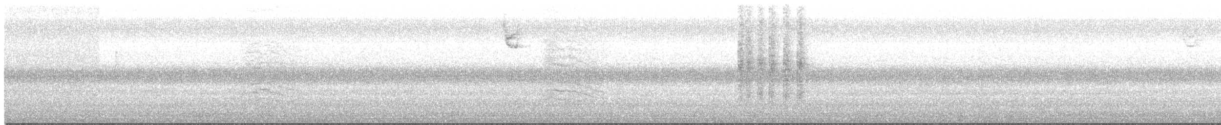 Пересмішник сірий - ML258342691