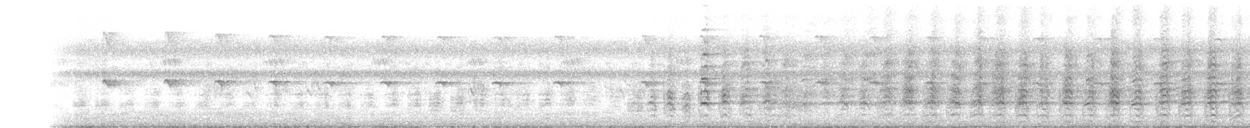 sokol stěhovavý (ssp. peregrinator) - ML258370261