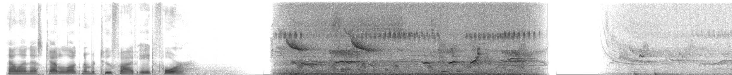 Перепелиця чубата [група leucopogon] - ML2584