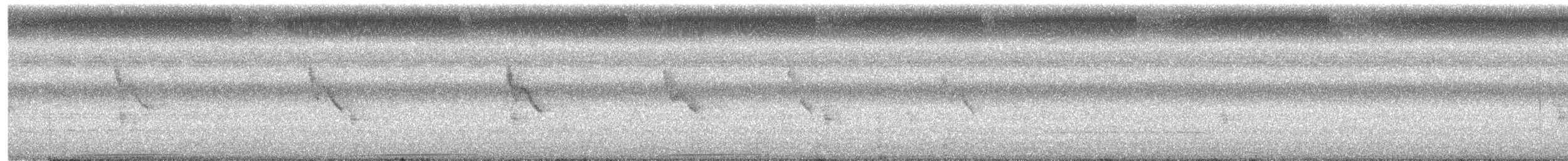 holub zelenokřídlý - ML258432601