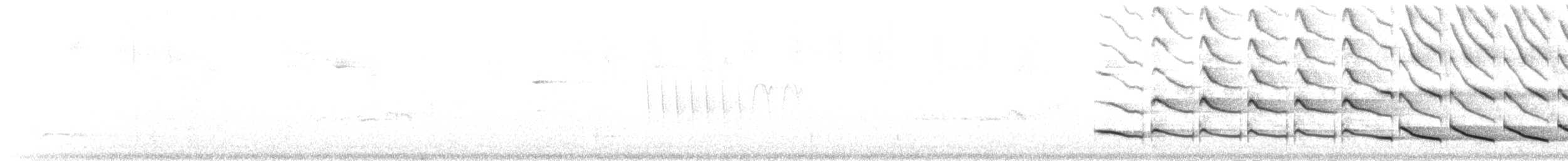 Zinnoberbürzelkassike (uropygialis) - ML25847601