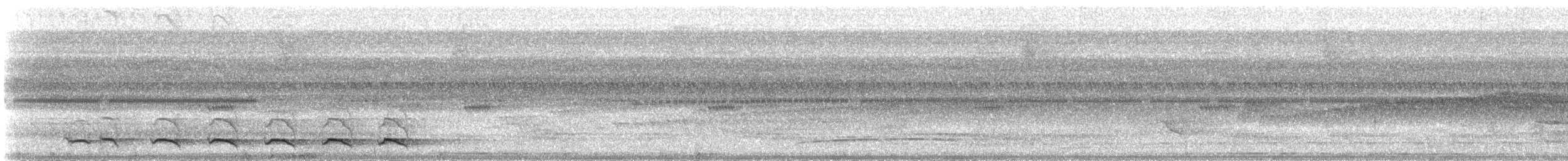 Collared Trogon (Collared) - ML25848651