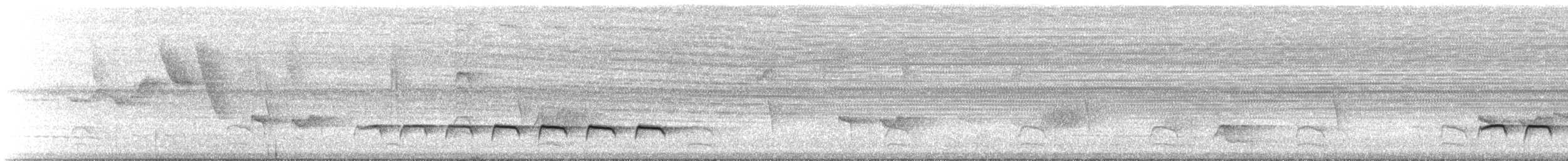 Weißbinden-Ameisenvogel - ML25850321