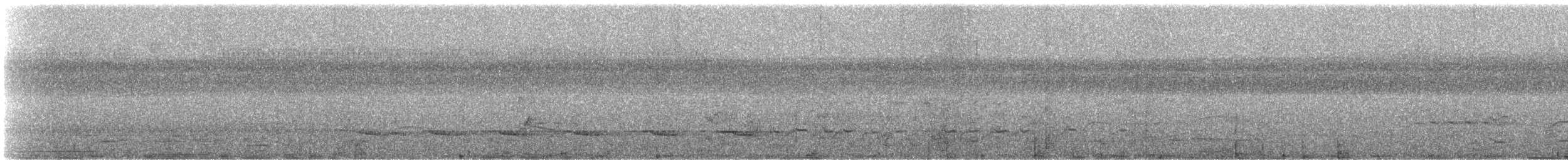 Weißschulter-Ameisenvogel - ML25850701
