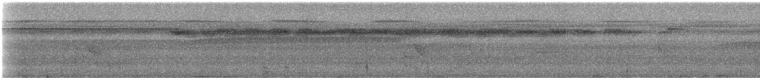 Полосатая пипра [группа striolatus] - ML25850731