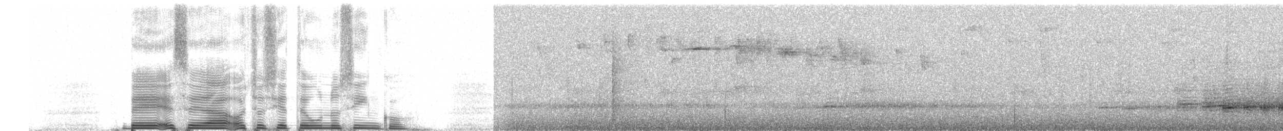 Hakenschnabel, unbestimmt - ML258512