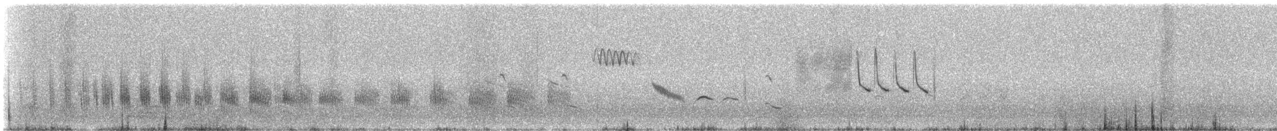 Grass Wren (Paramo) - ML25851271