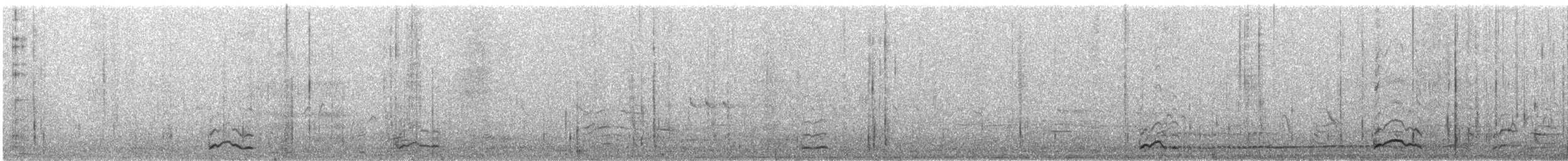 Зэрлэг нугас - ML258545711