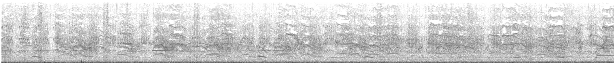 Sterna comune - ML258577101