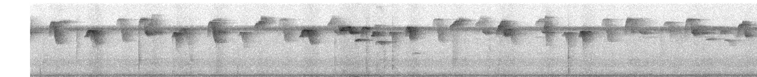 Бронзовый колибри-отшельник - ML258595831