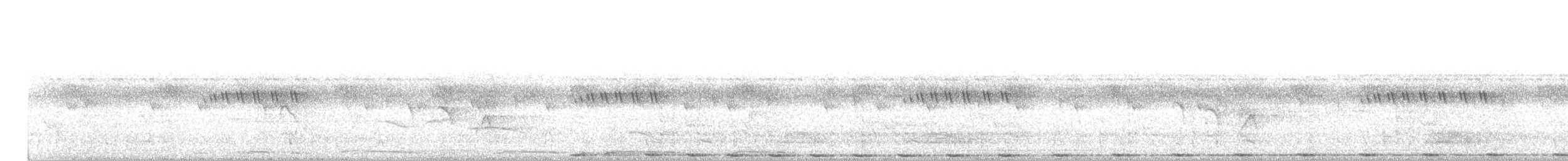 褐翅鴉鵑 - ML258615151
