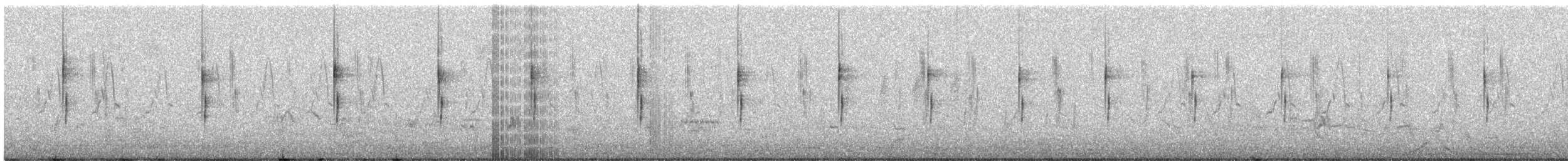 Cisticole des joncs - ML258658891