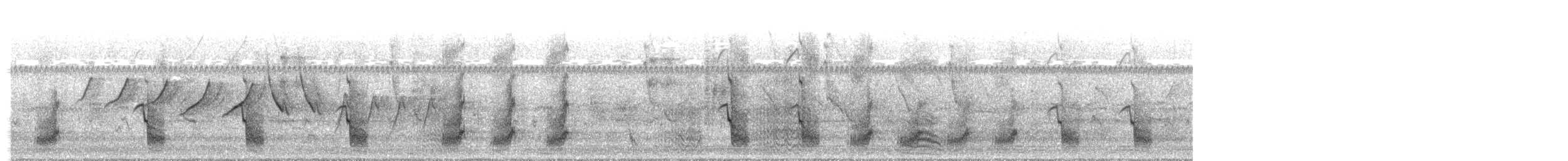 Amazone à lores rouges ou A. lilacée - ML258670711