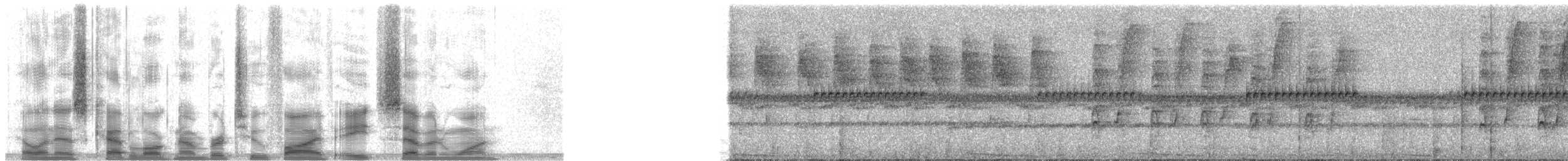 Chlorospin du Pirré - ML25871