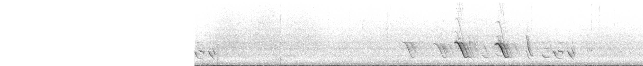 hvitsmykkehonningeter - ML258740231
