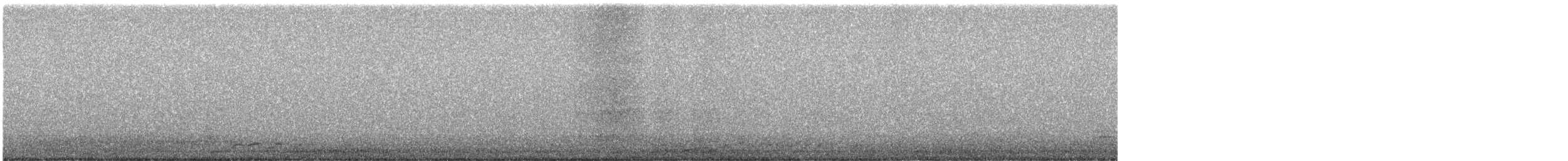 Черноклювая гагара - ML258752281