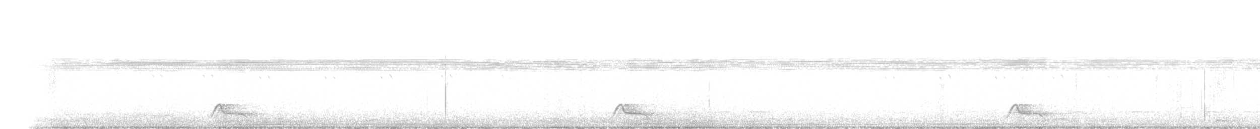 Pauraquenachtschwalbe - ML258778011