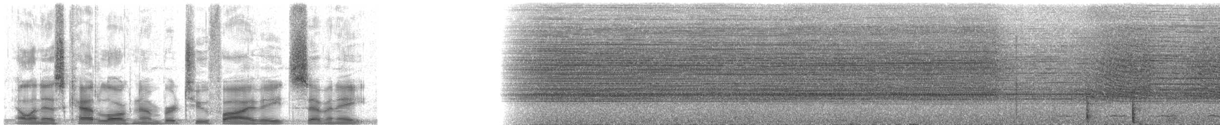 Kara Kuyruklu Trogon (macroura) - ML25878