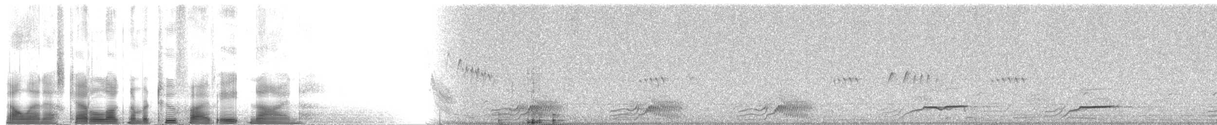 Black-throated Bobwhite - ML2589