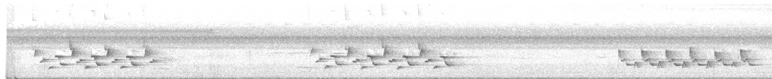 Troglodyte de Caroline - ML258910111